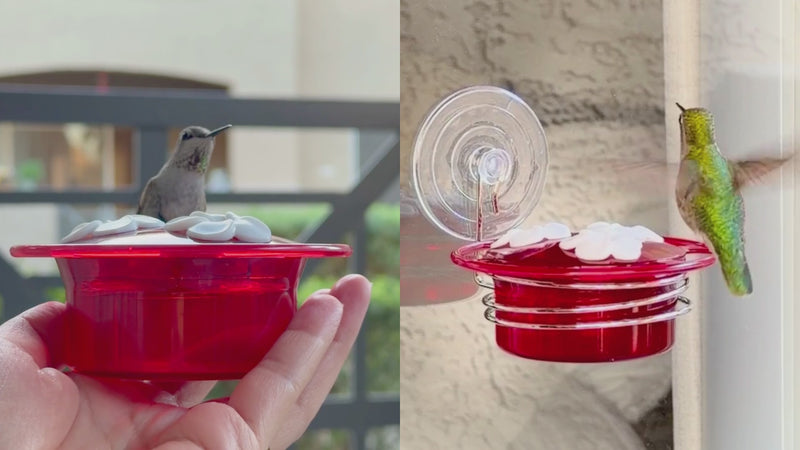 Load and play video in Gallery viewer, 3-Pack Petite Plastic Window and Handheld Hummingbird Feeder

