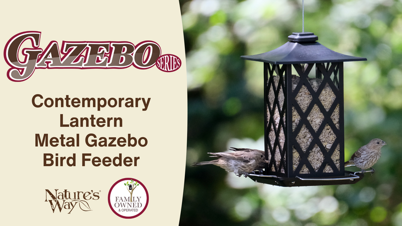Load and play video in Gallery viewer, Contemporary Lantern Gazebo Bird Feeder | Gazebo Bird Feeders | Nature’s Way Bird Products
