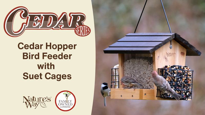 Load and play video in Gallery viewer, 3 QT Hopper Feeder with Two Suet Cages | Hopper Bird Feeders | Nature&#39;s Way Bird Products
