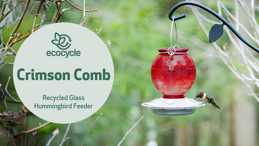 Crimson Comb Recycled Glass Hummingbird Feeder | EcoCycle™ Recycled Materials Collection