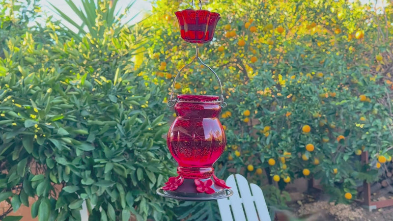 Load and play video in Gallery viewer, Garnet Visions Antique Hummingbird Gravity Feeder
