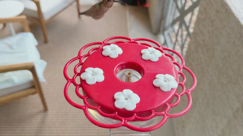 Load and play video in Gallery viewer, 2-in-1 Red Plastic Hanging Dish or Window Mount Hummingbird Feeder
