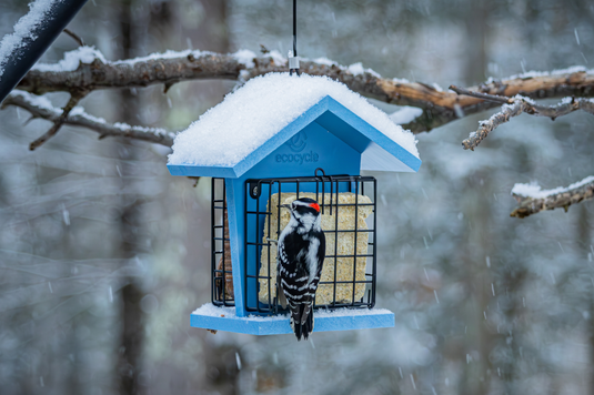 Winter weather birding gear