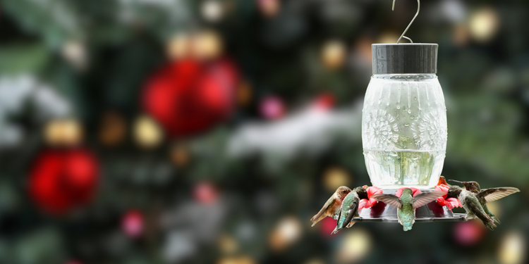 2026 Gift Guide