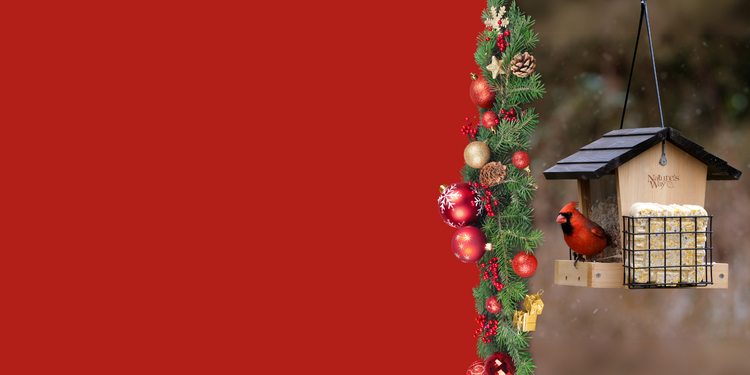 Black Friday: Early Access