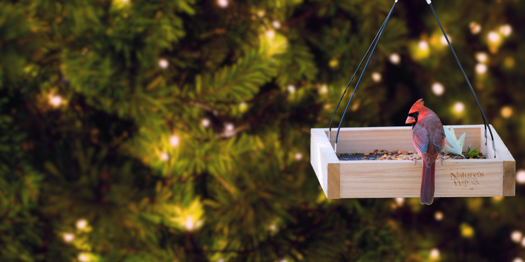 Holiday gift guide Nature's Way Bird Products