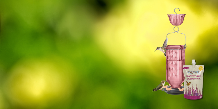 Try free hummingbird nectar