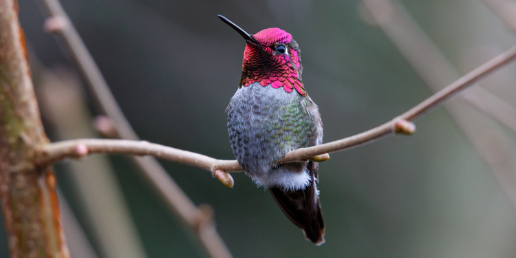 Subscribe and be entered to win!