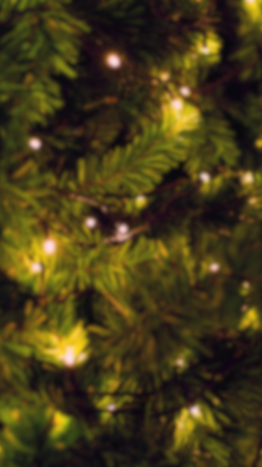 2024 Gift Guide
