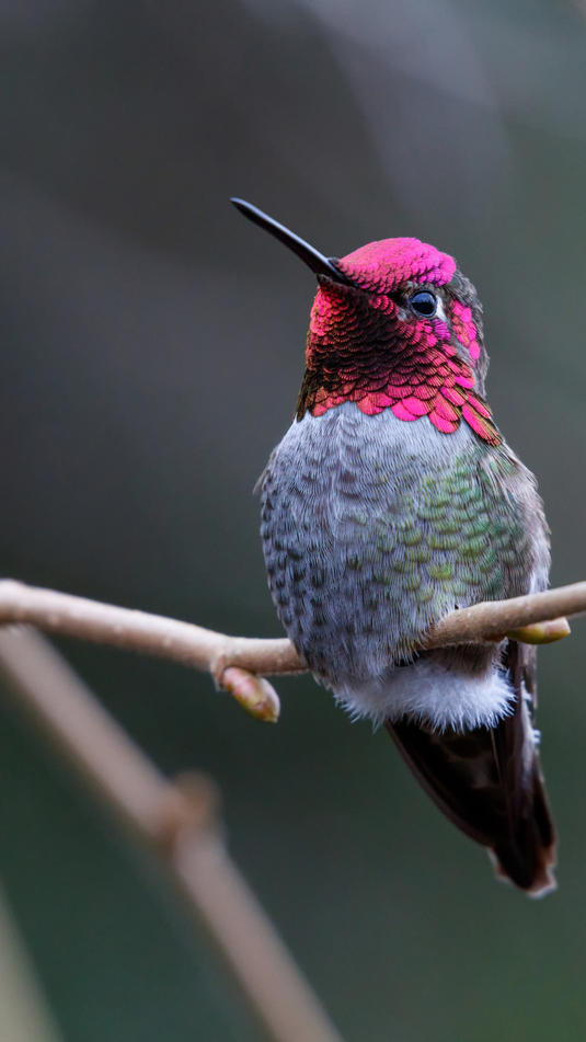 Subscribe and be entered to win!