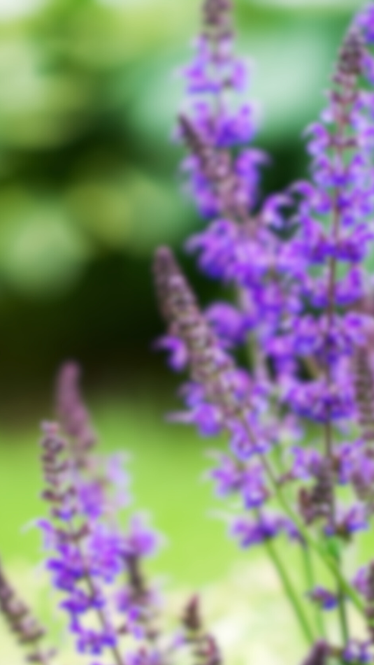 Api Nectar Nectar FAQ – Nature's Way Bird Products
