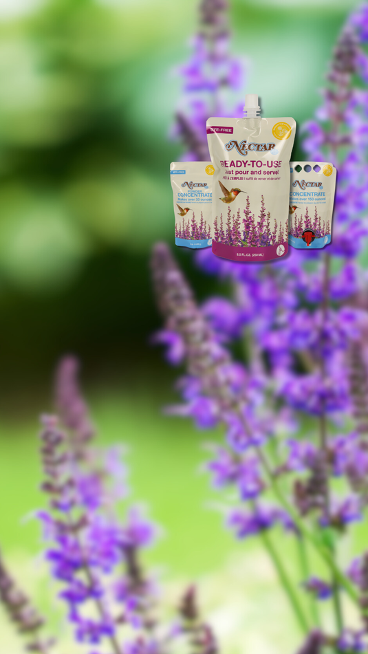 Nectar ready when you are