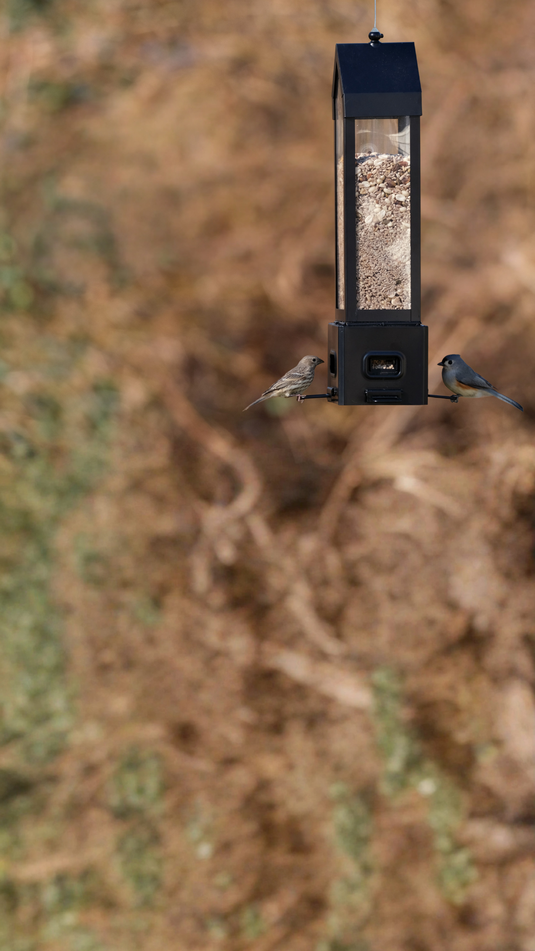 Defend your bird seed with the Squirrel Shield™  series
