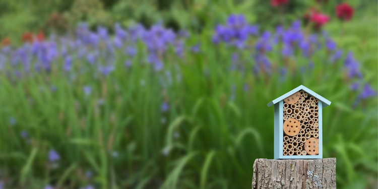 20% off Pollinator Week sale