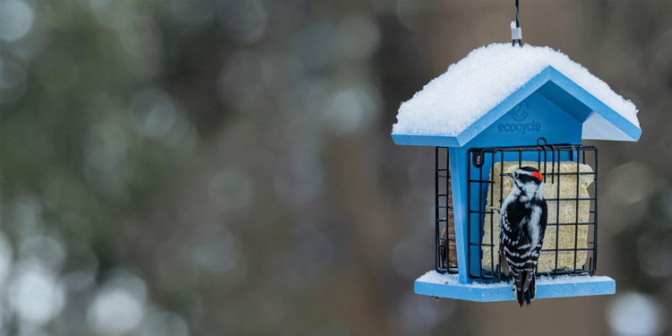 30% off for National Bird Feeding Month
