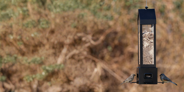 Defend your bird seed with the Squirrel Shield™  series