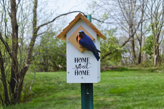 Make a home, sweet home