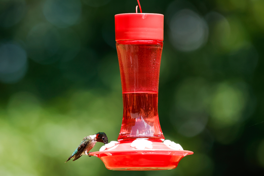 The new classic hummingbird feeder