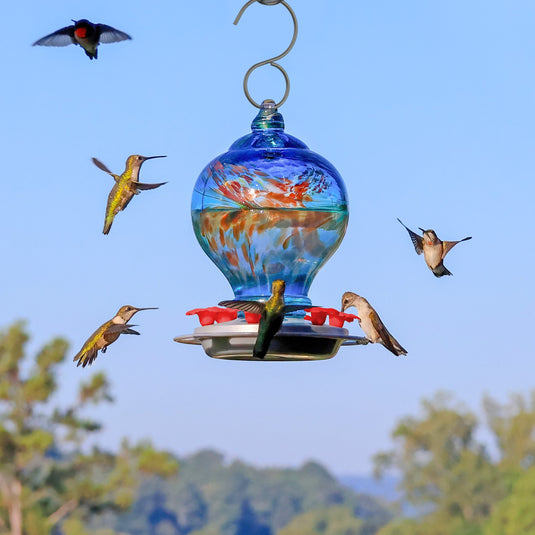 hummingbirds feeding from the Artisan Gravity Hummingbird Feeder - Sunny Day