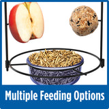 Demonstration of multiple feeding options with Nature's Way Bluebird Buffet Bird Feeder. Mealworms in blue feeding dish and suet ball and apple on two feeding spikes