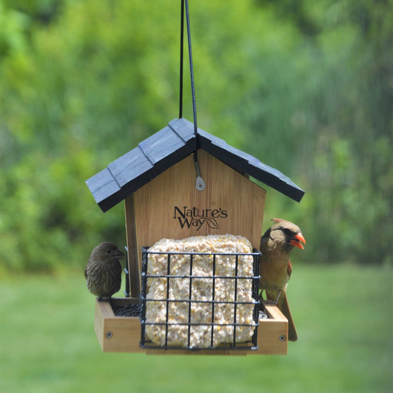 Load image into Gallery viewer, Multiple birds feeding from Nature&#39;s Way 3 QT bamboo Hopper bird Feeder with two Suet Cages
