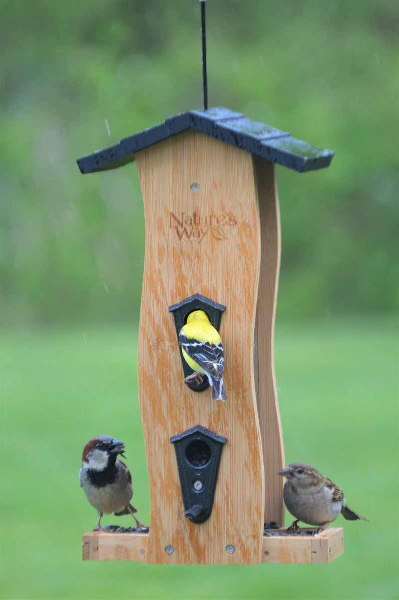 Load image into Gallery viewer, Multiple birds feeding from Nature&#39;s Way bamboo Vertical Wave bird Feeder
