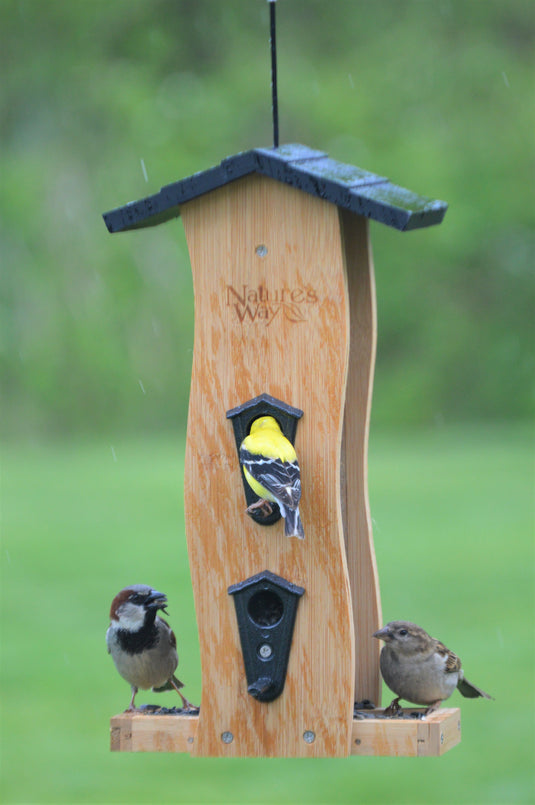 Multiple birds feeding from Nature's Way bamboo Vertical Wave bird Feeder