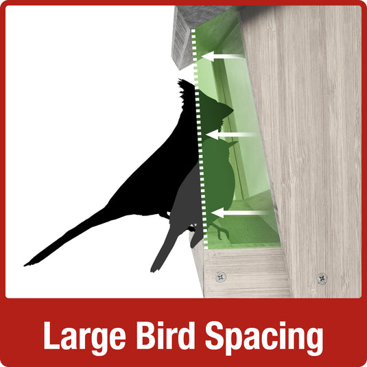 Large bird spacing for Nature's Way 3 QT Hopper cedar bird Feeder with two Suet Cages