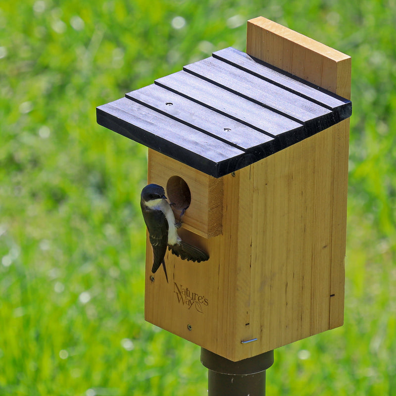 Load image into Gallery viewer, tree swallow going inside nature&#39;s way Bluebird Box House w/Viewing Window
