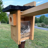 nest inside nature's way bluebird house with viewing window