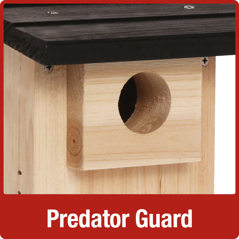 Load image into Gallery viewer, predator guard on the Nature&#39;s Way Bluebird Box House with Viewing Window
