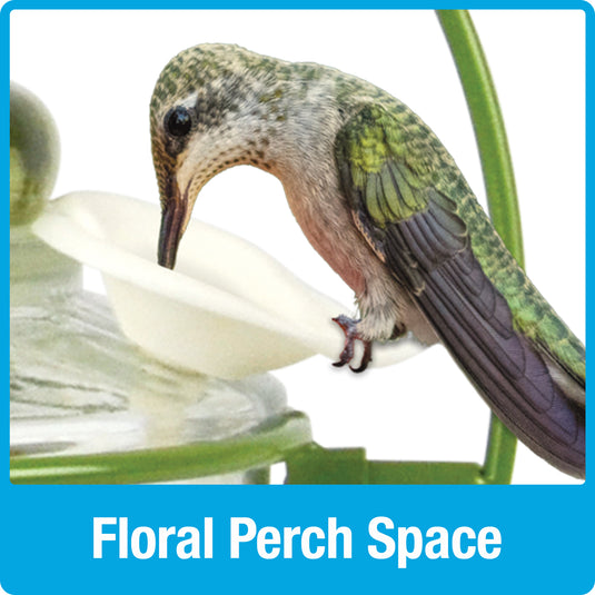 Decorative Glass Top-Fill Hummingbird Feeder - Gardenia Bouquet (Model