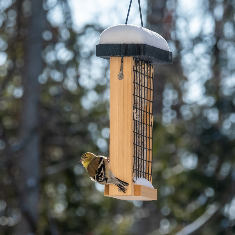 Load image into Gallery viewer, Double Suet Tail Prop Feeder (Model# CWF31)

