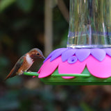 hummingbird feeding from the Nature's Way So Real Gravity Hummingbird Feeder in Purple Fuchsia
