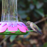 hummingbird feeding from the Nature's Way So Real Gravity Hummingbird Feeder in Purple Fuchsia