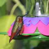 close up of hummingbird feeding from Nature's Way So Real Gravity Hummingbird Feeder in Purple Fuchsia