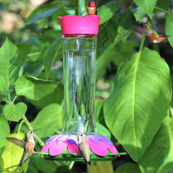 Three hummingbirds feeding from the Nature's Way So Real Gravity Hummingbird Feeder in Purple Fuchsia