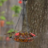 Hummingbird feeding from Nature's Way red, yellow and black speckled hand blown glass garden hummingbird feeder