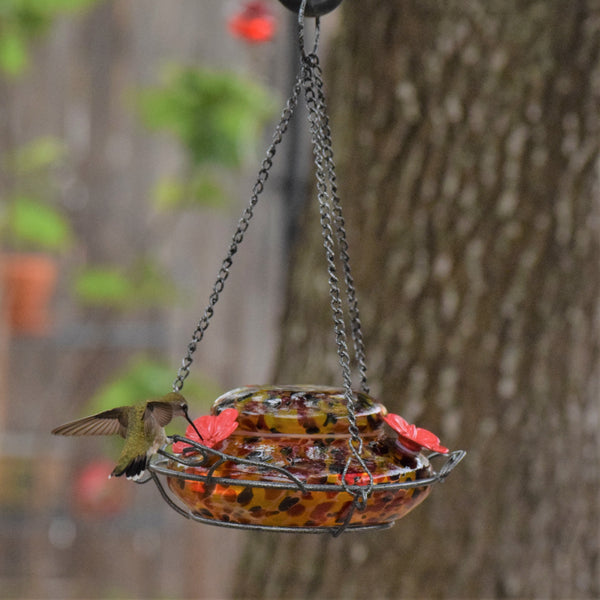 Hummingbird feeding from Nature's Way red, yellow and black speckled hand blown glass garden hummingbird feeder
