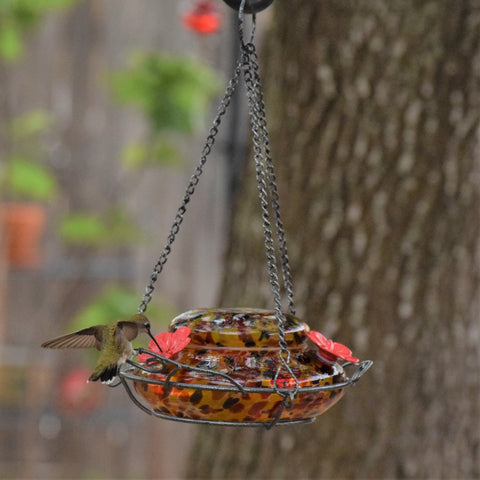 Alsawwan Glass Hanging Hummingbird Feeder