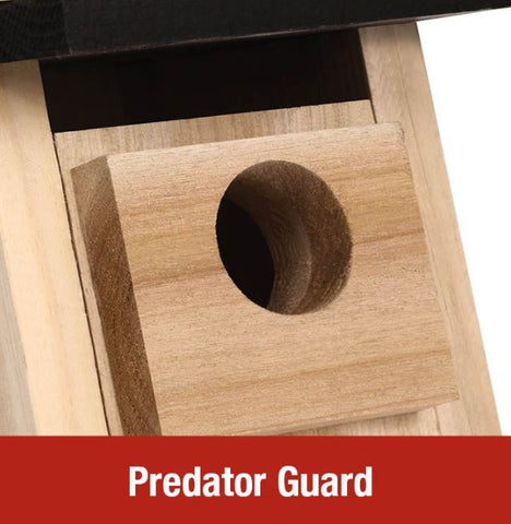 Bluebird House Predator Guard