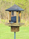 Grosbeak visiting the Nature's Way cedar Gazebo bird Feeder