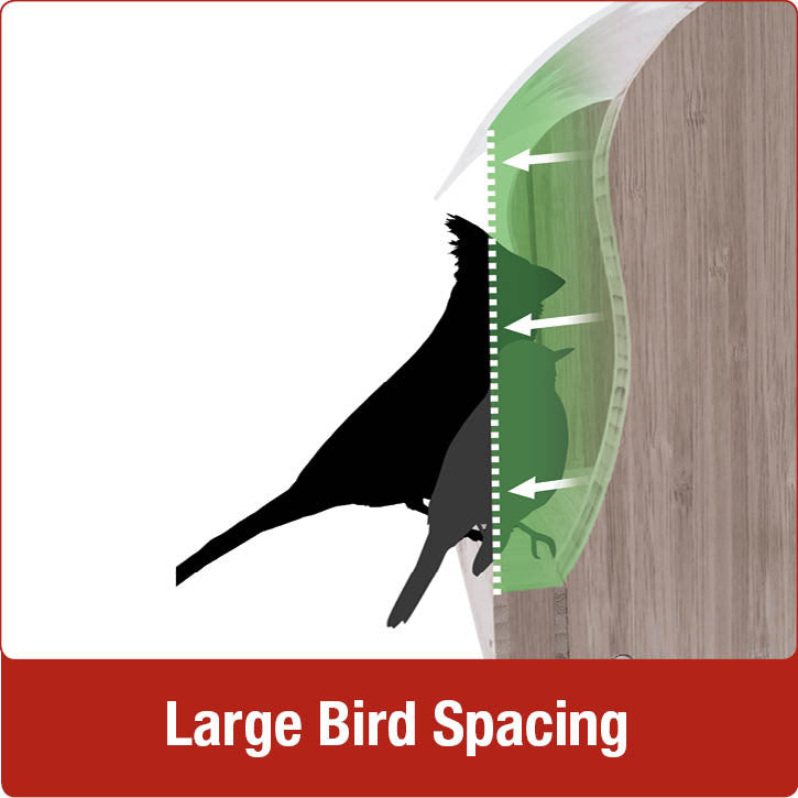 Load image into Gallery viewer, Large bird spacing for Nature&#39;s Way 4 QT Hopper cedar bird Feeder with two Suet Cages
