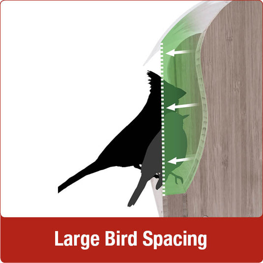Large bird spacing for Nature's Way 4 QT Hopper cedar bird Feeder with two Suet Cages