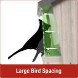 Large bird spacing Nature's Way 6 QT Hopper cedar bird Feeder with two Suet Cages