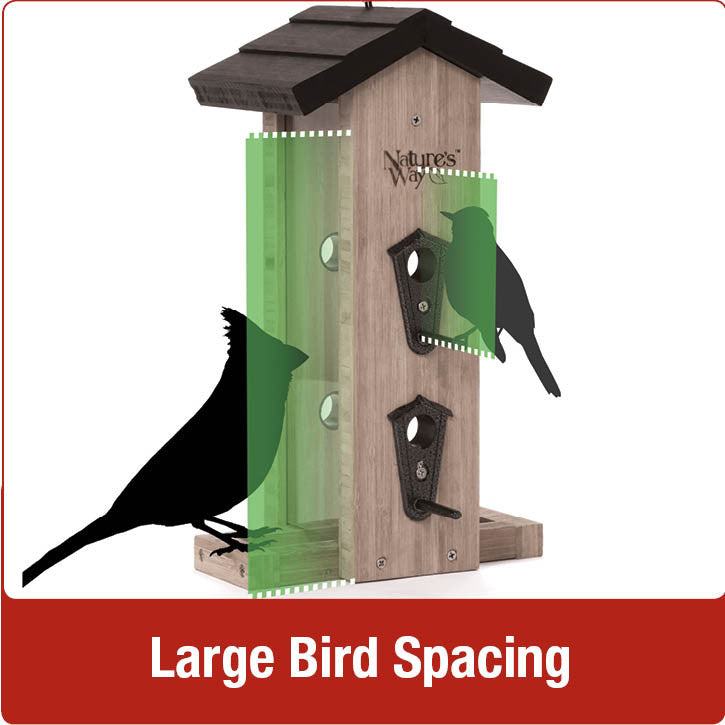 Load image into Gallery viewer, Large bird spacing for Nature&#39;s Way Vertical Wave cedar bird Feeder
