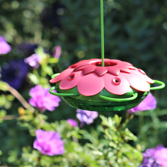 Nature's Way So Real Mini 3D Hummingbird Feeder hanging from tree in garden
