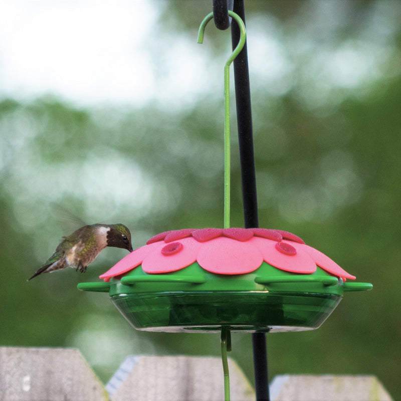 Load image into Gallery viewer, hummingbird feeding from So Real Mini 3D Hummingbird Feeder
