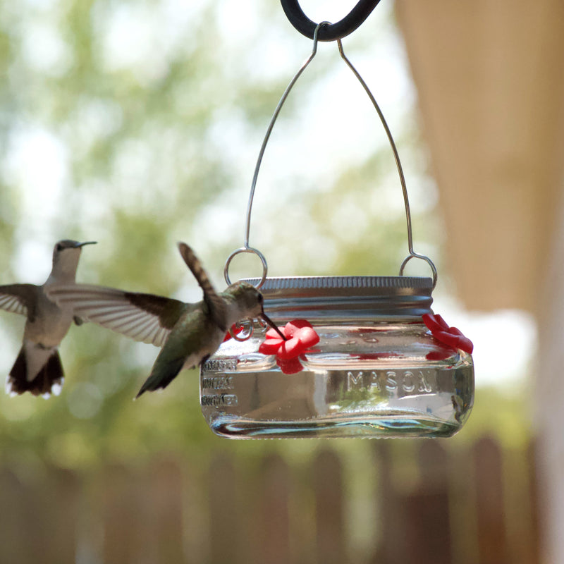 Load image into Gallery viewer, two hummingbirds feeding from Nature&#39;s Way Mason Jar Hummingbird Feeder

