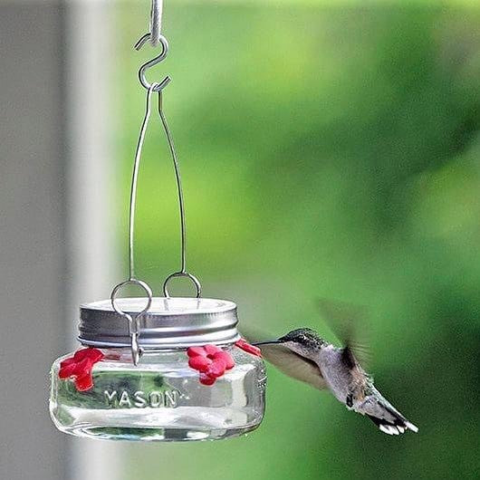 hummingbird feeding from Nature's Way Mason Jar Hummingbird Feeder